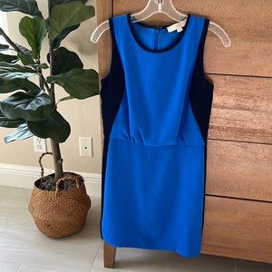 Loft sleeveless dress